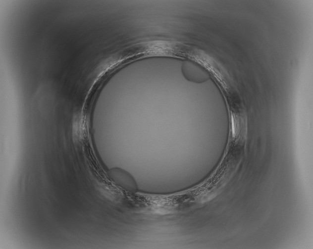 X0000116560579200912171411