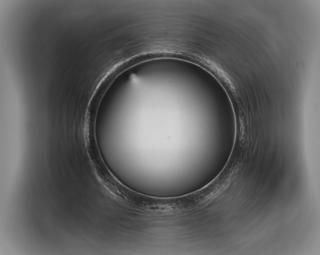 X0000116560580200912171411