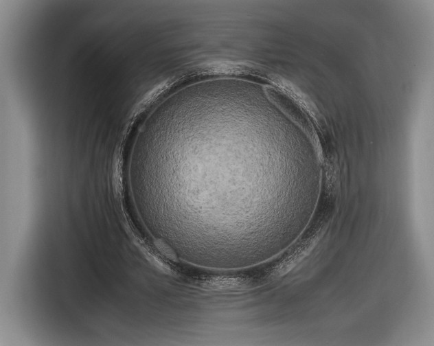 X0000116560581200912171411