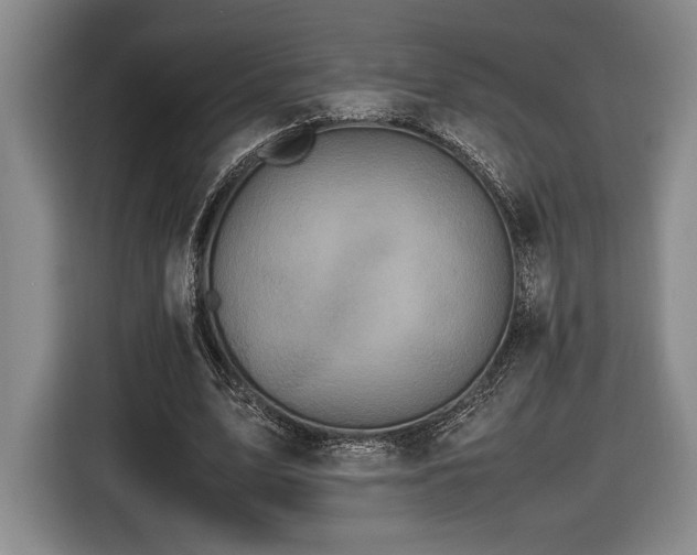 X0000116560583200912171411