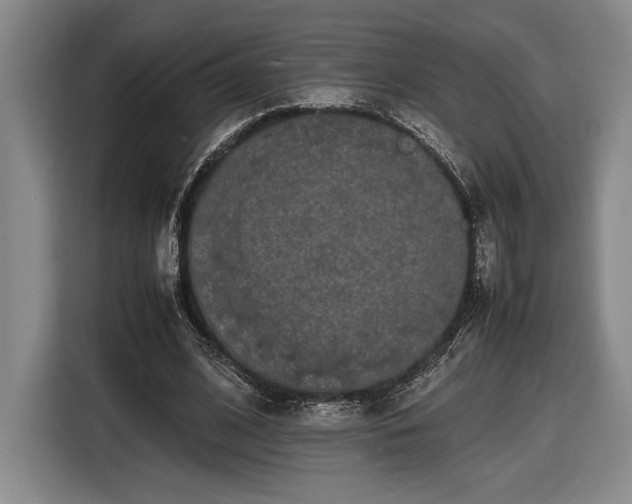 X0000116560584200912171411