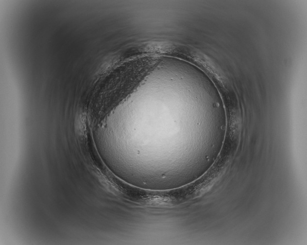 X0000116560585200912171411