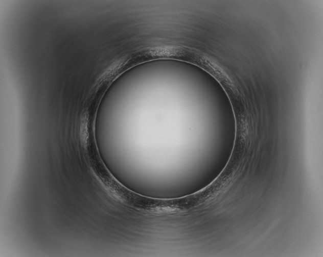 X0000116560586200912171411