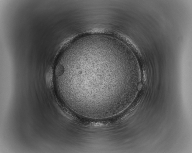 X0000116560588200912171411