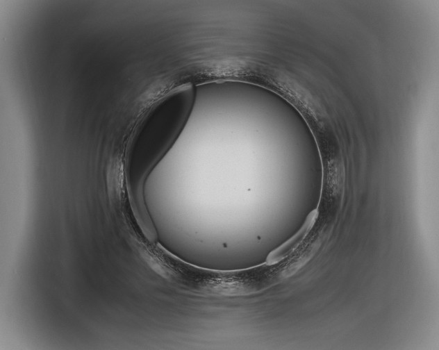 X0000116560589200912171411