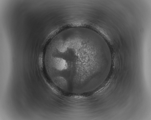 X0000116560590200912171411