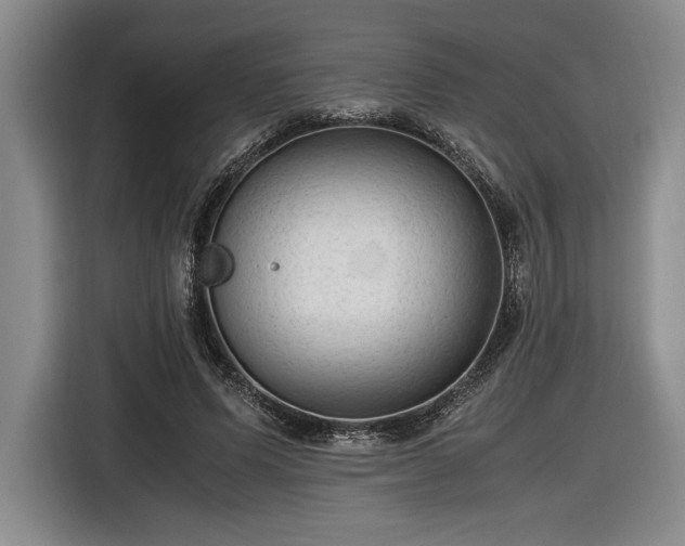 X0000116560591200912171411