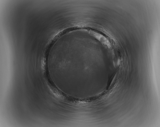 X0000116560592200912171411