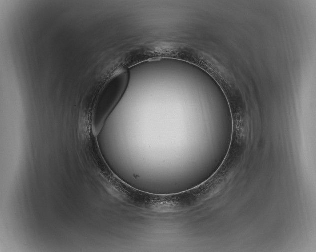 X0000116560593200912171411