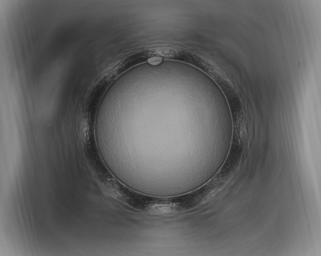 X0000116560595200912171411