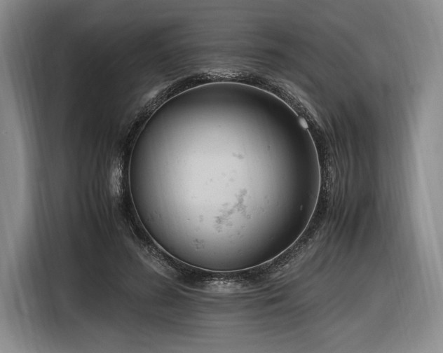 X0000116560596200912171411