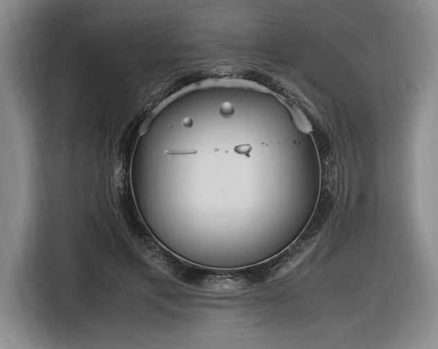 X0000116560597200912171411