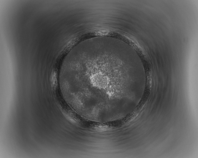 X0000116560598200912171411