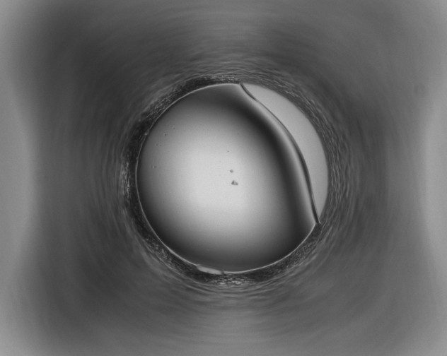 X0000116560599200912171411