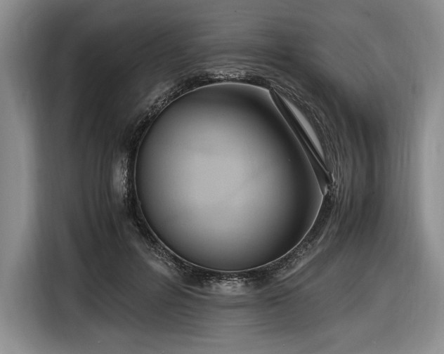 X0000116560600200912171411