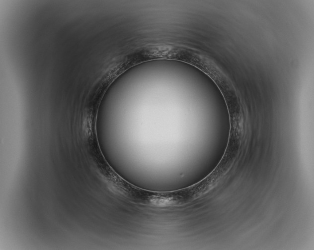 X0000116560602200912171411