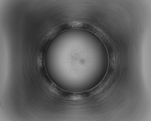 X0000116560604200912171411