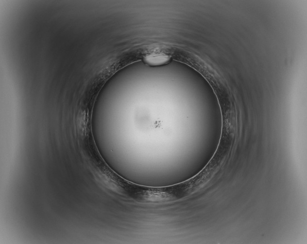 X0000116560605200912171411