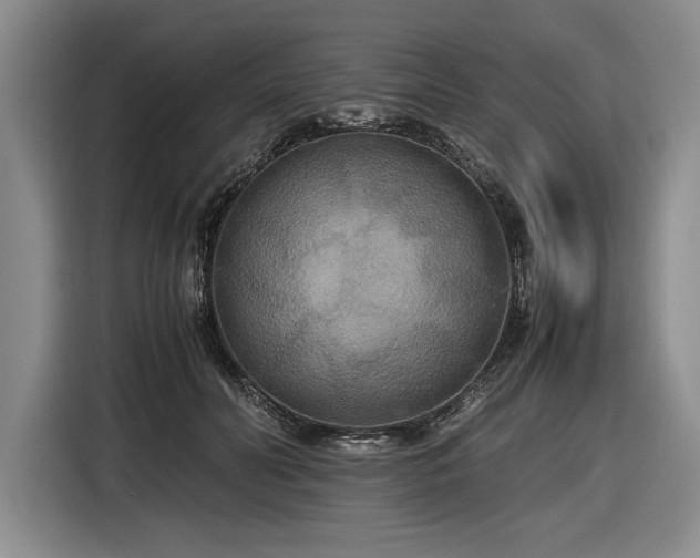 X0000116560606200912171411