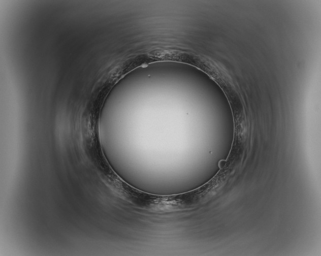 X0000116560607200912171411