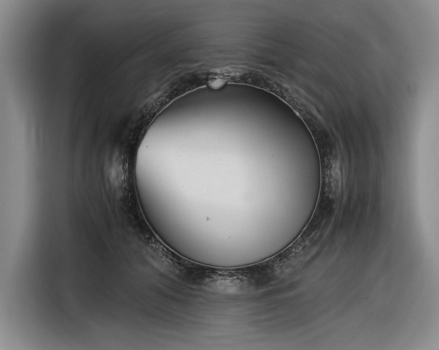 X0000116560608200912171411