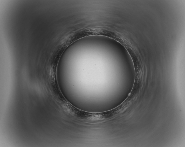 X0000116560609200912171411