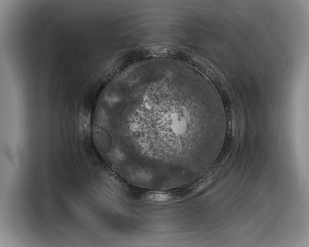 X0000116560610200912171411