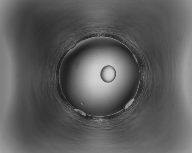 X0000116560611200912171411