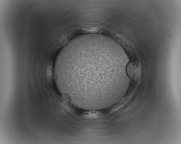 X0000116560612200912171411