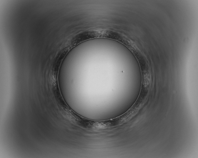 X0000116560613200912171411