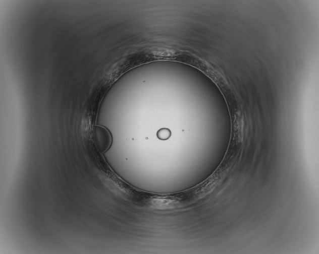 X0000116560614200912171411