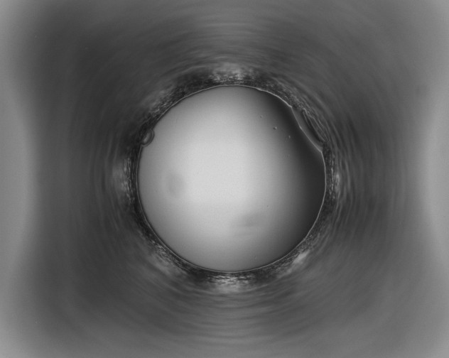 X0000116560616200912171411