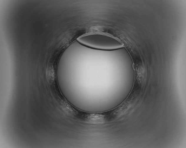 X0000116560617200912171411