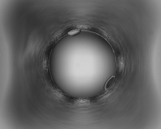 X0000116560619200912171411