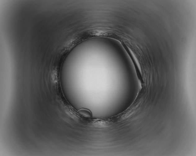 X0000116560620200912171411