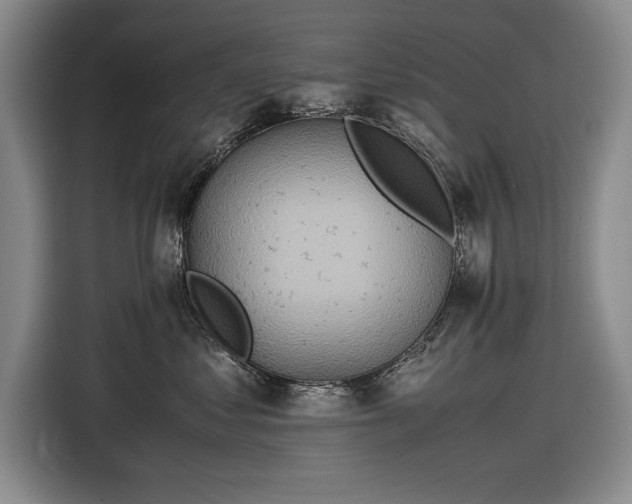 X0000116560621200912171411