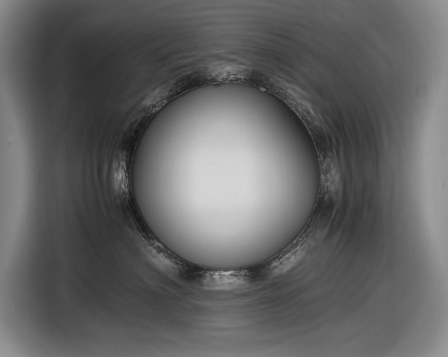 X0000116560622200912171411