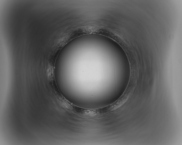 X0000116560624200912171411