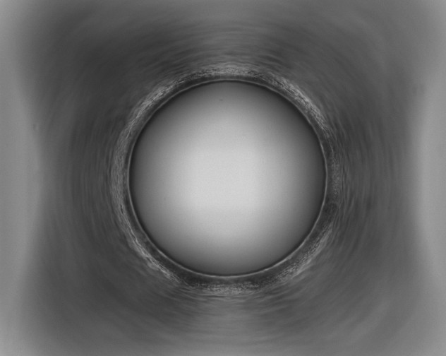 X0000116560625200912171410