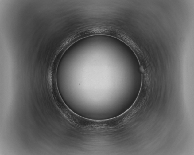 X0000116560626200912171410