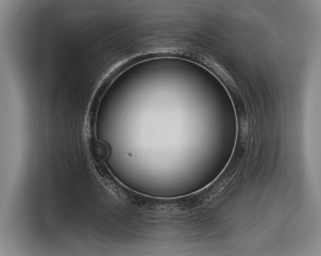 X0000116560628200912171410