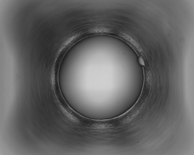 X0000116560629200912171410