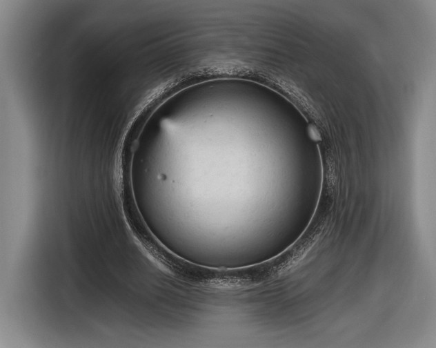 X0000116560630200912171410