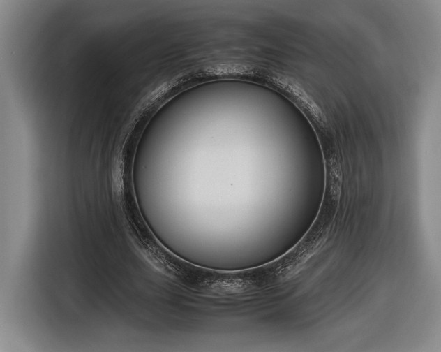 X0000116560631200912171410