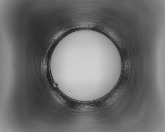 X0000116560632200912171410