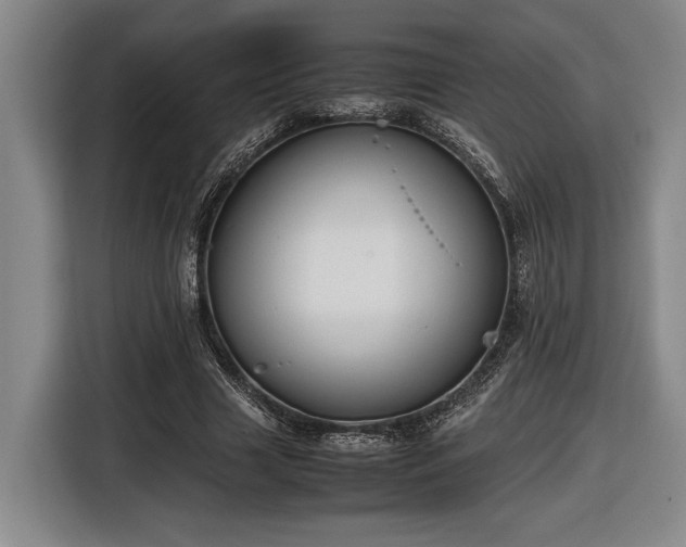 X0000116560633200912171410