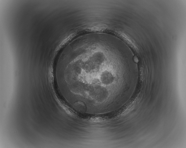 X0000116560634200912171410