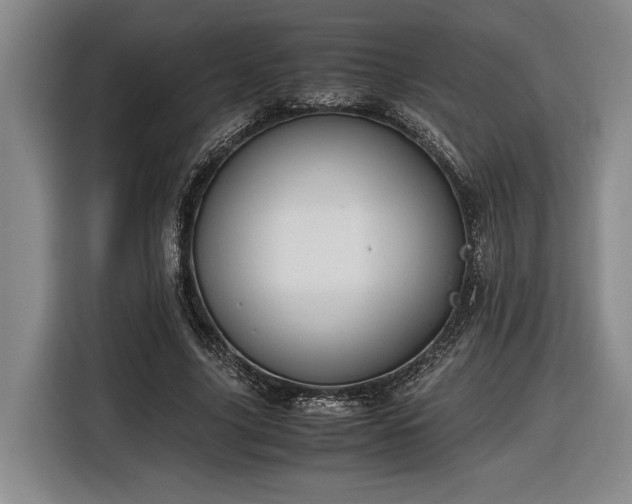 X0000116560635200912171410