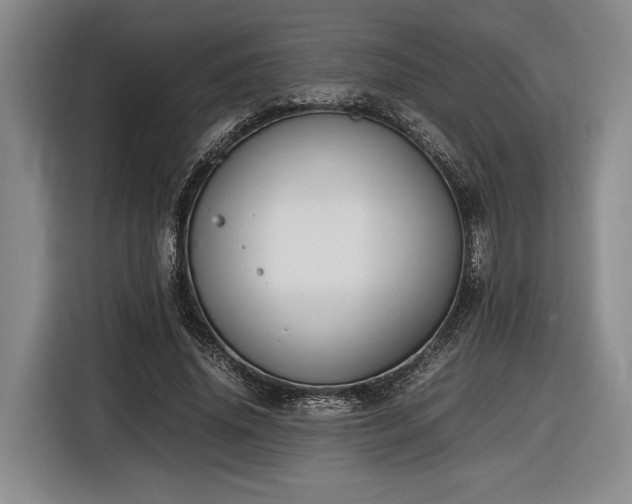 X0000116560636200912171410