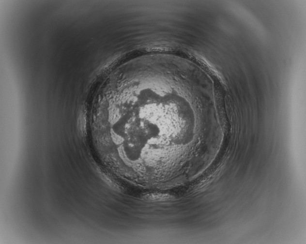 X0000116560637200912171410